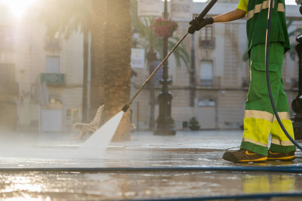 Best Roof Washing  in Bainbridge, GA